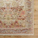 Cappadocia CPP-5021 Burgundy / Gray Rug