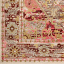 Cappadocia CPP-5021 Burgundy / Gray Rug