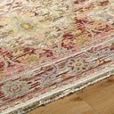 Cappadocia CPP-5021 Burgundy / Gray Rug