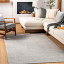 Carmel CRL-2300 Gray / Light Gray Rug