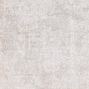 Carmel CRL-2300 Gray / Light Gray Rug