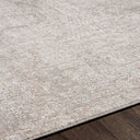 Carmel CRL-2300 Gray / Light Gray Rug