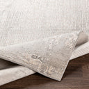 Carmel CRL-2301 Gray / Light Gray Rug