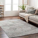 Carmel CRL-2303 Gray / Light Gray Rug