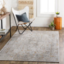 Carmel CRL-2318 Brown / Light Gray Rug