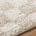 Czechia CZE-2306 Ivory / Off-White Rug