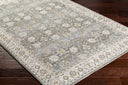 Dresden DRE-2312 Deep Teal / Dusty Sage Rug