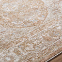 Da Vinci DVC-2313 Dusty Sage / Ivory Rug