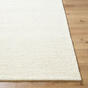 Davala DVL-2300 Rug
