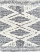 Deluxe Shag DXS-2309 Charcoal / Cream Rug