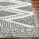 Deluxe Shag DXS-2309 Charcoal / Cream Rug