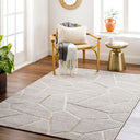 Eloquent ELQ-2306 Black / Light Beige Rug