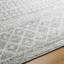 Elaziz ELZ-2308 Gray / Light Gray Rug