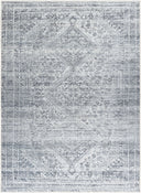 Embrace EMA-2312 Charcoal / Gray Rug