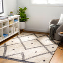 Enzo ENZ-2301 Black / Cream Rug