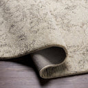 Evolution EVL-2301 Charcoal / Cream Rug