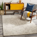 Evolution EVL-2301 Charcoal / Cream Rug