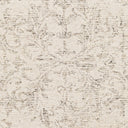 Evolution EVL-2301 Charcoal / Cream Rug