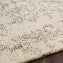 Evolution EVL-2301 Charcoal / Cream Rug
