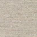Evora EVO-2303 Beige / Oatmeal Rug