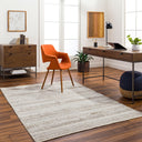 Floria FLI-2303 Cream / Light Gray Rug