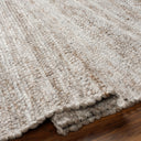 Florentina FLT-2300 Gray / Light Gray Rug