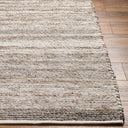 Florentina FLT-2300 Gray / Light Gray Rug