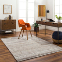 Florentina FLT-2300 Gray / Light Gray Rug