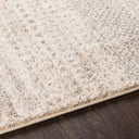 Fowler FOW-1005 Light Brown / Light Gray Rug