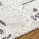 Fossay Shag FSG-2303 Charcoal / Light Beige Rug