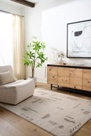 Fossay Shag FSG-2304 Light Beige / Medium Gray Rug