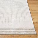Fossay Shag FSG-2309 Light Beige / Medium Gray Rug