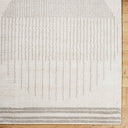Fossay Shag FSG-2309 Light Beige / Medium Gray Rug