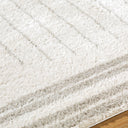 Fossay Shag FSG-2309 Light Beige / Medium Gray Rug