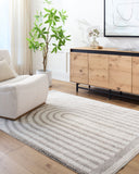 Fossay Shag FSG-2313 Light Beige / Medium Gray Rug