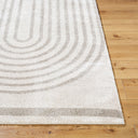 Fossay Shag FSG-2313 Light Beige / Medium Gray Rug