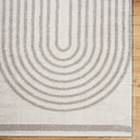 Fossay Shag FSG-2313 Light Beige / Medium Gray Rug