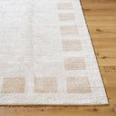 Fossay Shag FSG-2314 Beige / Light Beige Rug