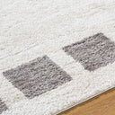 Fossay Shag FSG-2316 Charcoal / Light Beige Rug