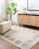Fossay Shag FSG-2317 Light Beige / Medium Gray Rug