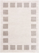Fossay Shag FSG-2317 Light Beige / Medium Gray Rug