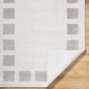 Fossay Shag FSG-2317 Light Beige / Medium Gray Rug