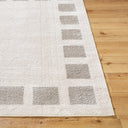 Fossay Shag FSG-2317 Light Beige / Medium Gray Rug