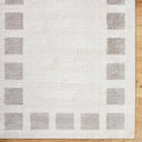 Fossay Shag FSG-2317 Light Beige / Medium Gray Rug