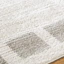 Fossay Shag FSG-2317 Light Beige / Medium Gray Rug