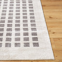 Fossay Shag FSG-2321 Charcoal / Light Beige Rug