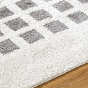 Fossay Shag FSG-2321 Charcoal / Light Beige Rug