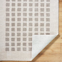 Fossay Shag FSG-2322 Light Beige / Medium Gray Rug