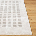 Fossay Shag FSG-2322 Light Beige / Medium Gray Rug