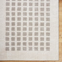Fossay Shag FSG-2322 Light Beige / Medium Gray Rug